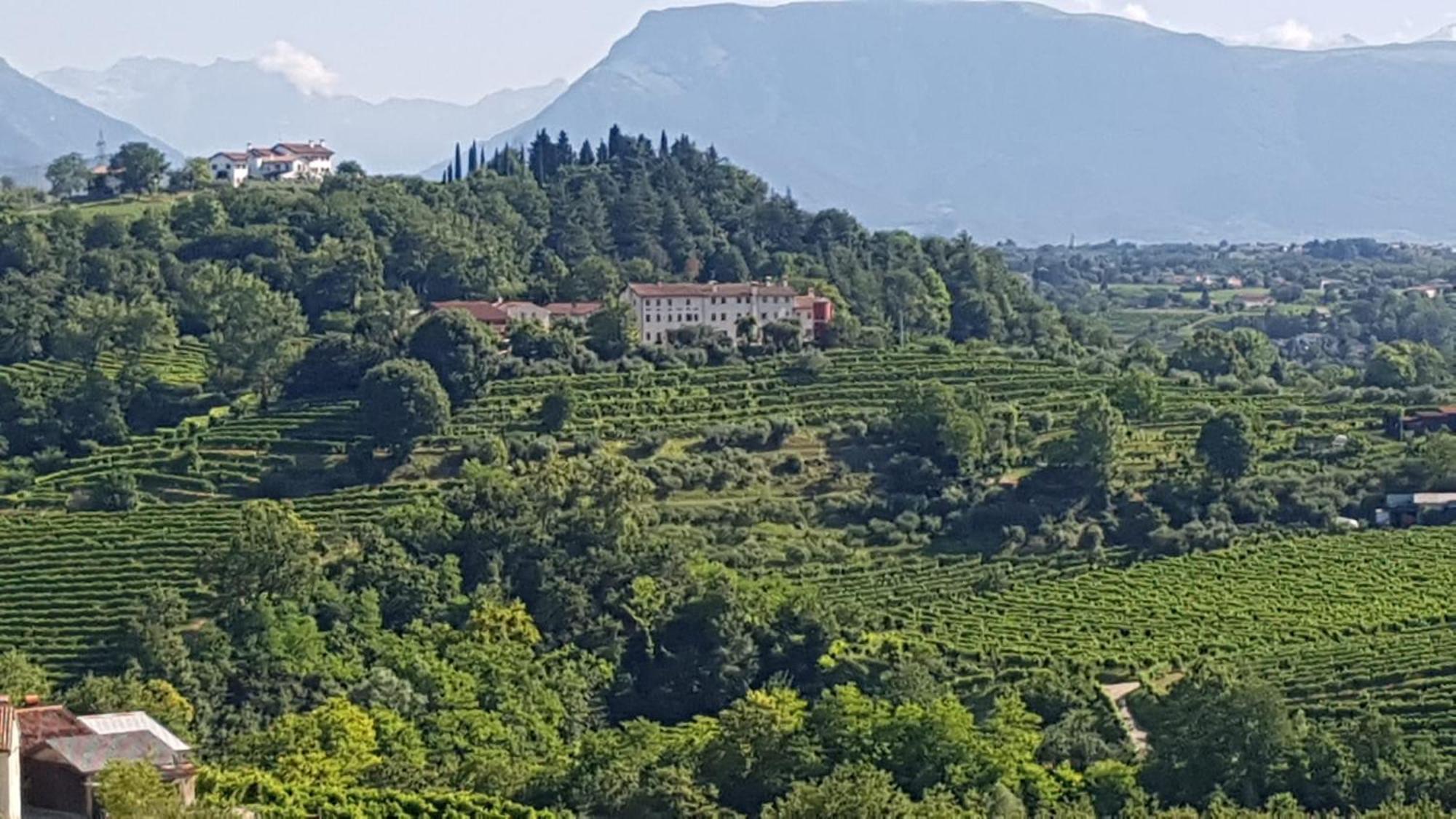 Casa Vacanze Pierangela Susegana Esterno foto
